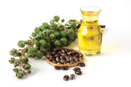 what is castor oil